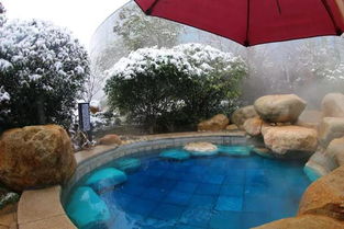 元旦出游指南 泡溫泉你準備好了嗎