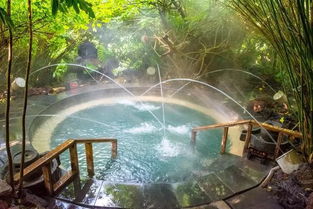 保山滇西旅游大環線規劃調研組 對荷花溫泉進行旅游線路實地調研