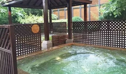 美團旅行2017年溫泉游大數據 春節長假將迎溫泉游最高峰